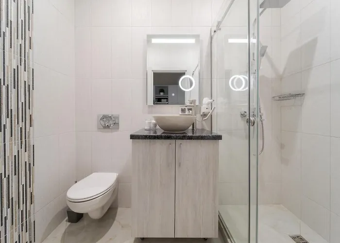 Luxury Flat In Downtown 2 Apartment